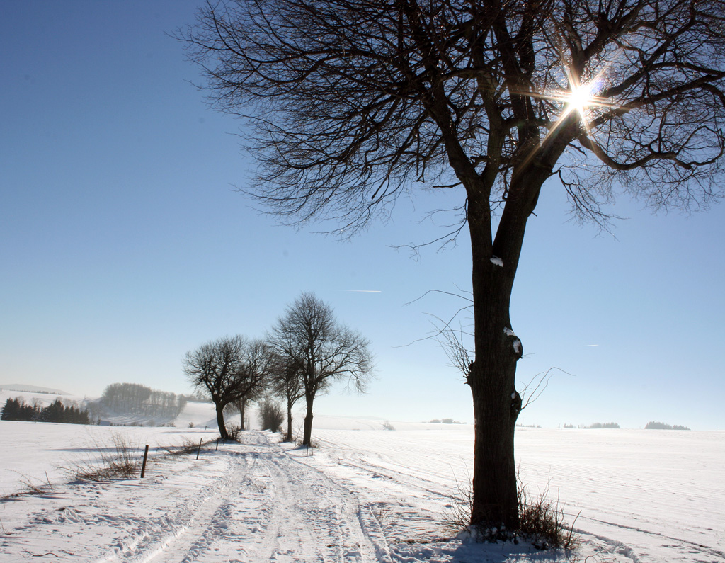 Der Wintersonne entgegen