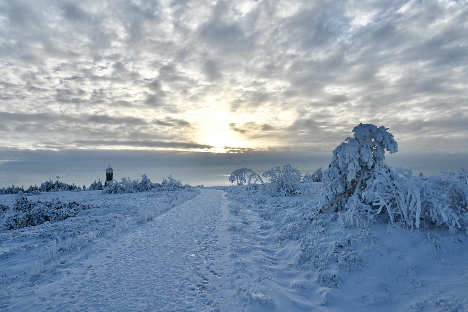 Der Wintersonne entgegen 