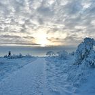 Der Wintersonne entgegen 