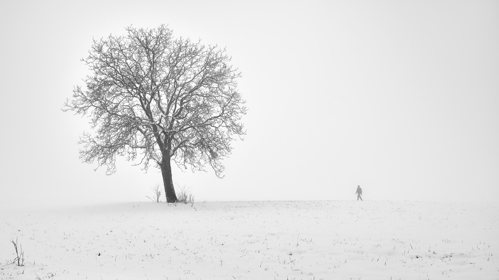 *Der Winterspaziergang*