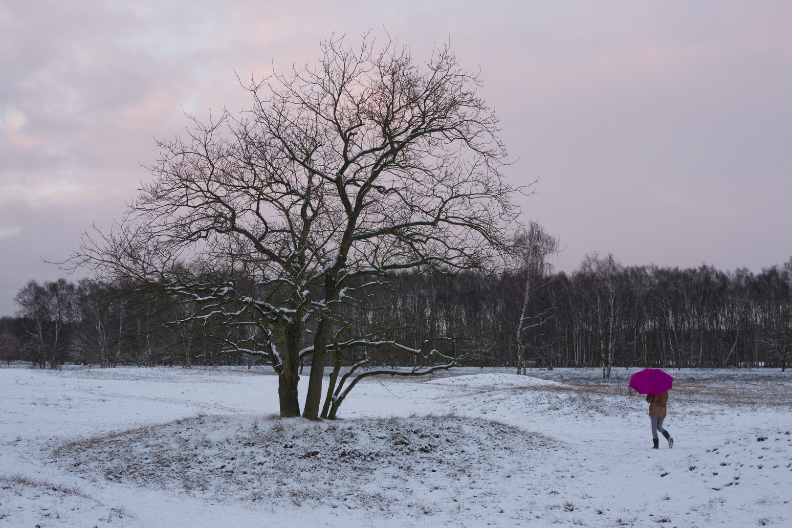 Der Winterspaziergang