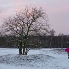 Der Winterspaziergang