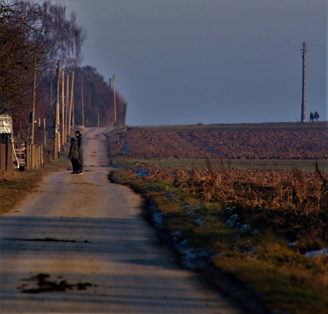 der Winterspaziergang