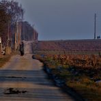 der Winterspaziergang