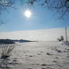 Der Winterspaziergang