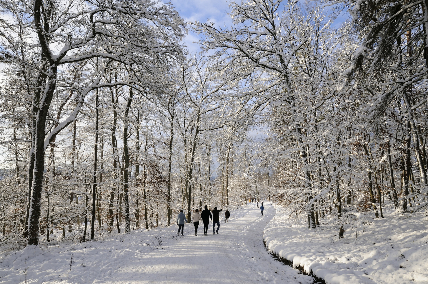 Der Winterspaziergang