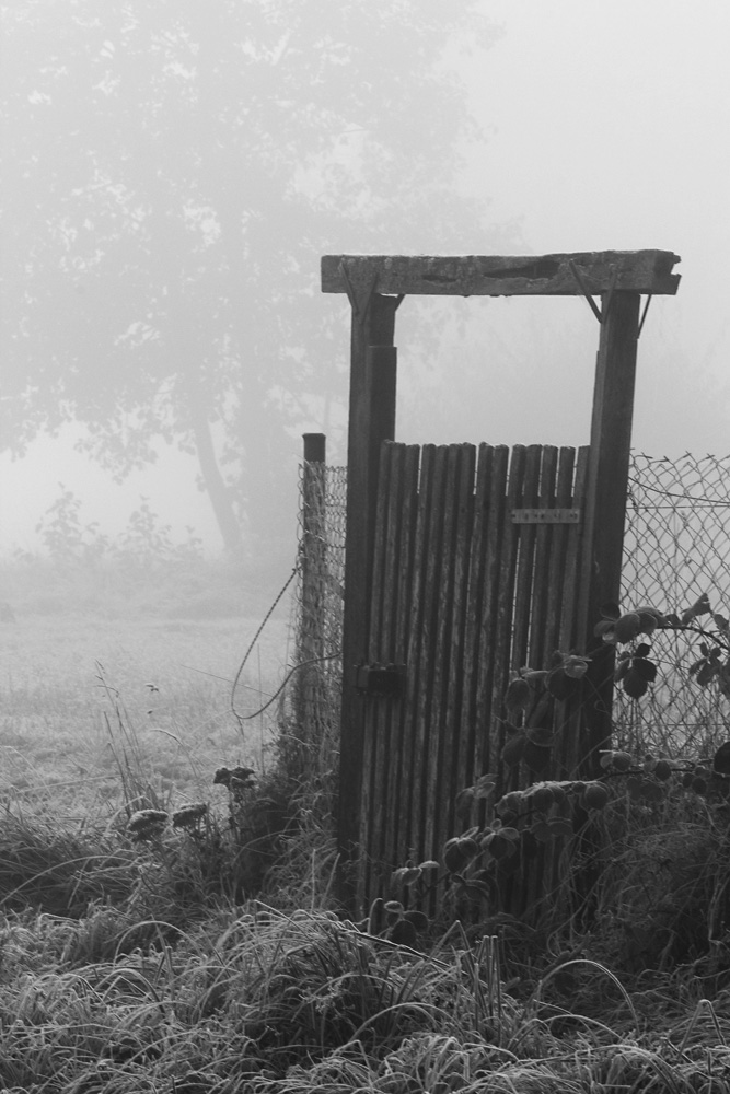 *der winter...steht vor der tür...* Bild & Foto von my kind of art