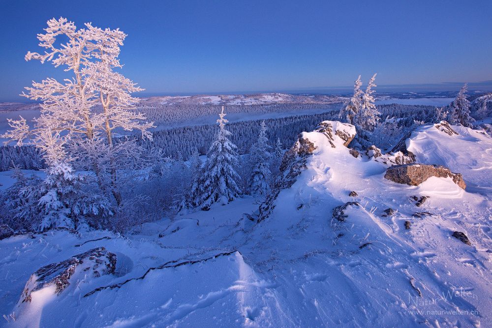 Der Wintertag erwacht