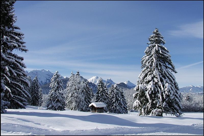 Der Wintertagstraum von Udo Walter Pick