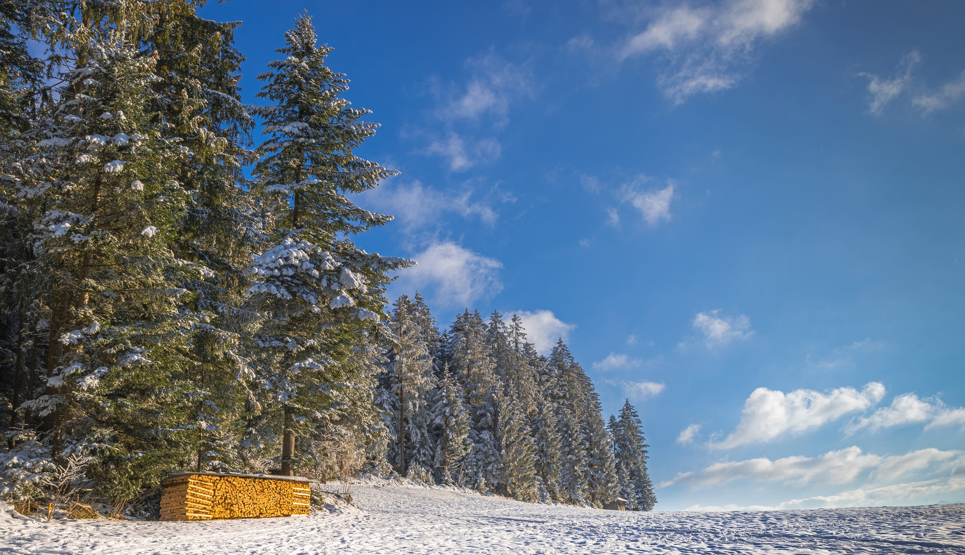 Der Wintervorrat steht bereit