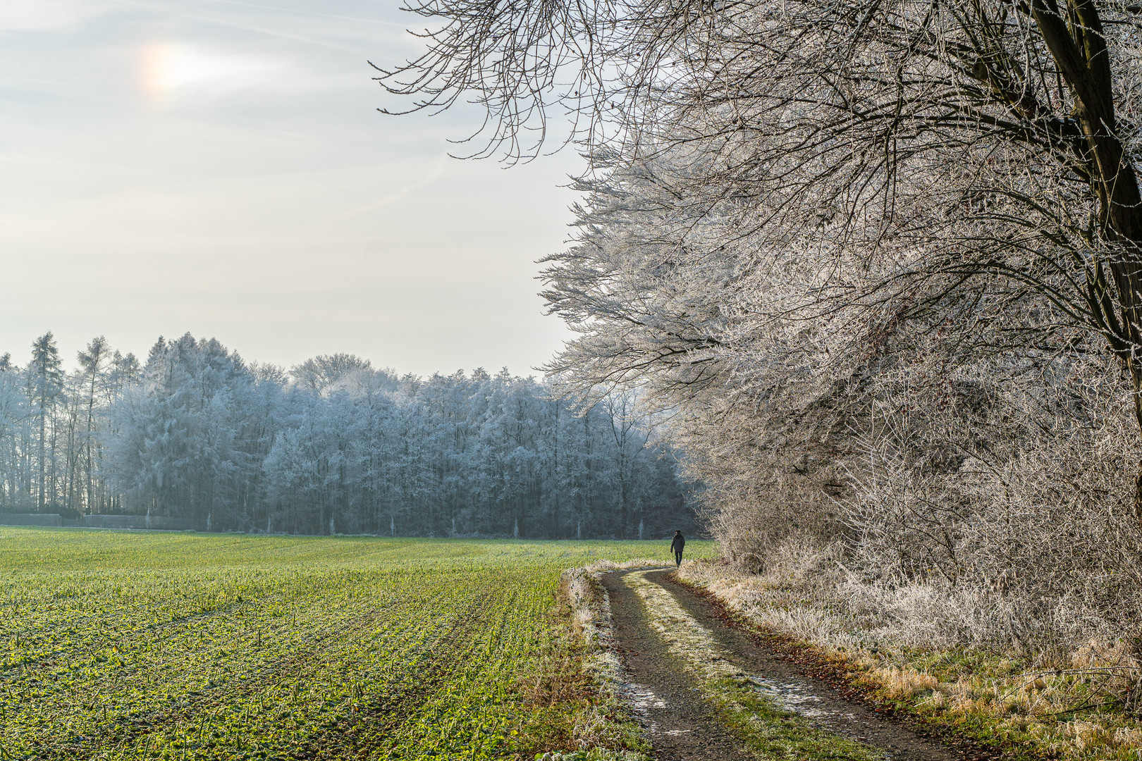 Der Winterwanderer