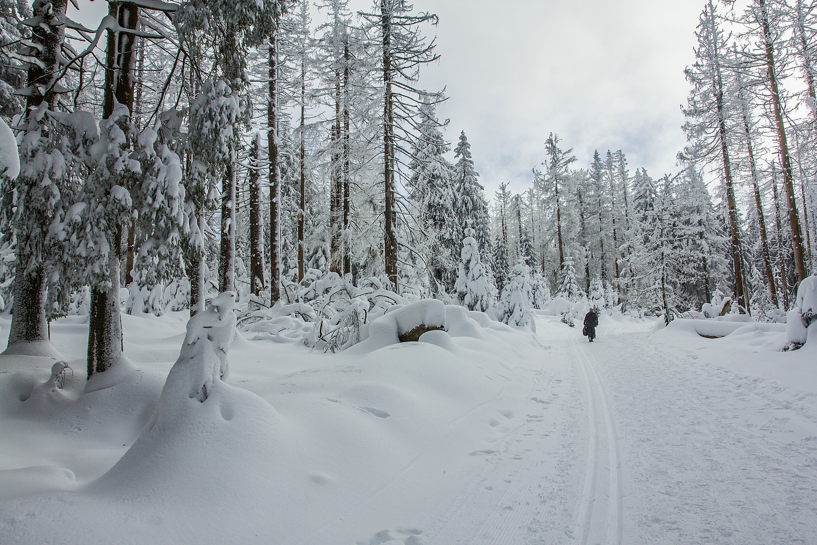 Der Winterwanderer