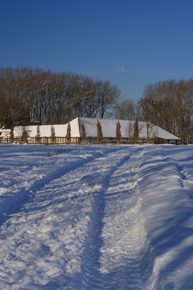 Der Winterweg