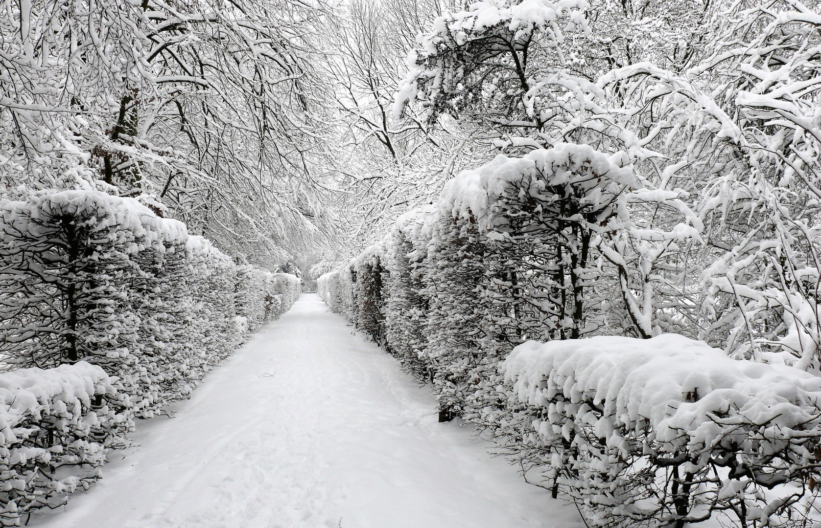 Der Winterweg 