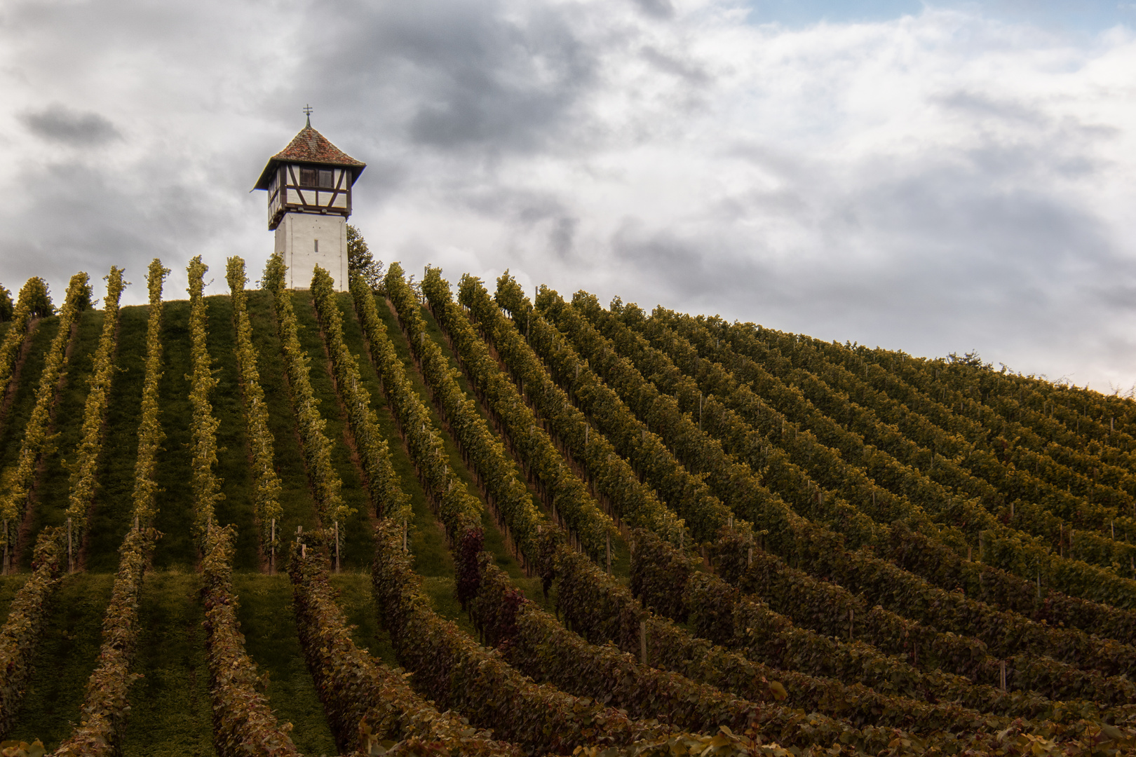 Der Winzer - Turm in Meersburg