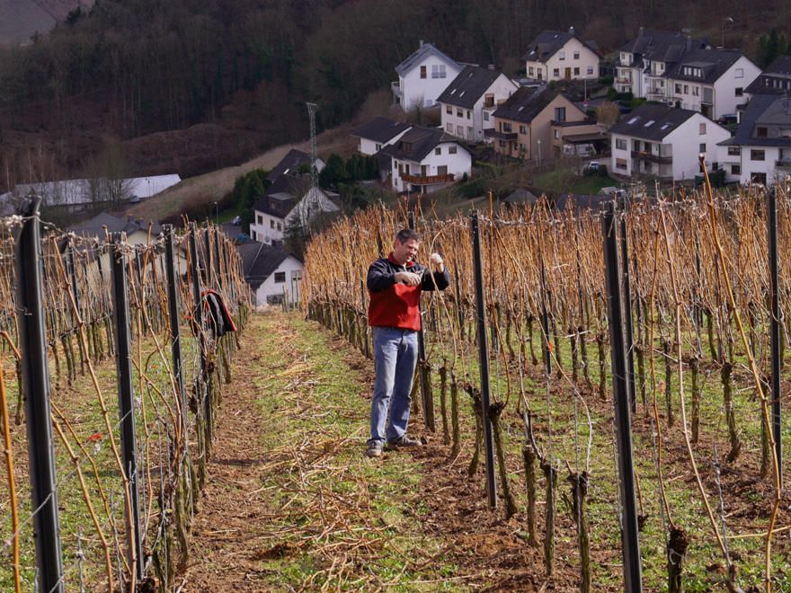 Der Winzer und sein Weinberg