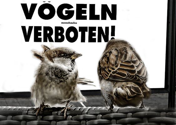 der wochenend lacher