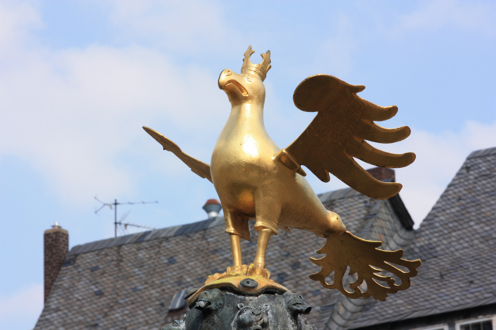 Der wohl am meisten fotografierte Vogel in Goslar!!