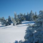 Der wohl letzte "traumhafte" Wintertag auf dem Brocken