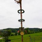 Der wohl skurrilste Maibaum Österreichs