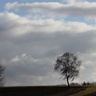 der Wolken, Luft und Winden gibt Wege, Lauf und Bahn.....