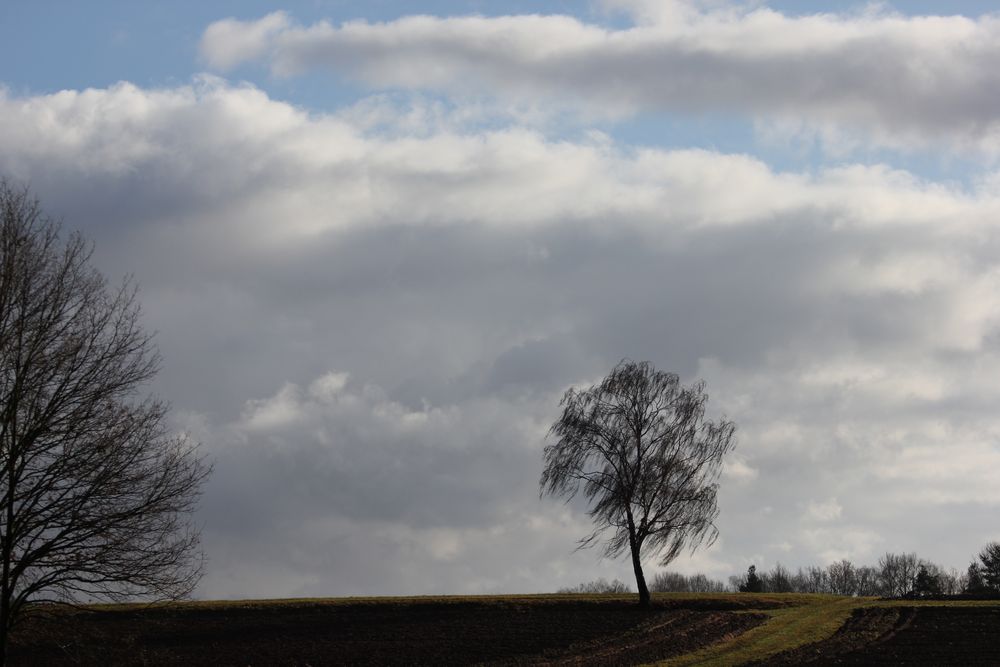 der Wolken, Luft und Winden gibt Wege, Lauf und Bahn.....