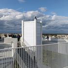 Der Wolkenhain - Berlins beste Aussichten auf der IGA 2017