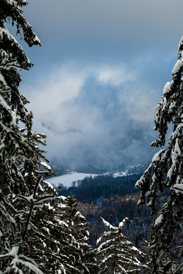 Der Wolkenhund über dem Winterwonderland Schwarzwald