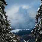 Der Wolkenhund über dem Winterwonderland Schwarzwald