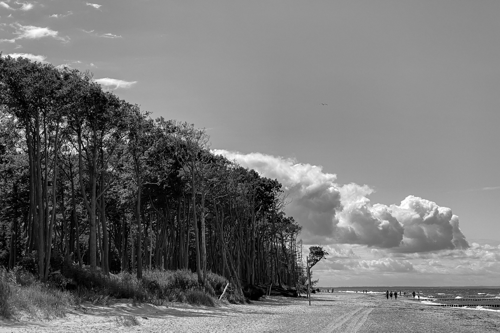 Der wolkenlose Himmel ist Vergangenheit