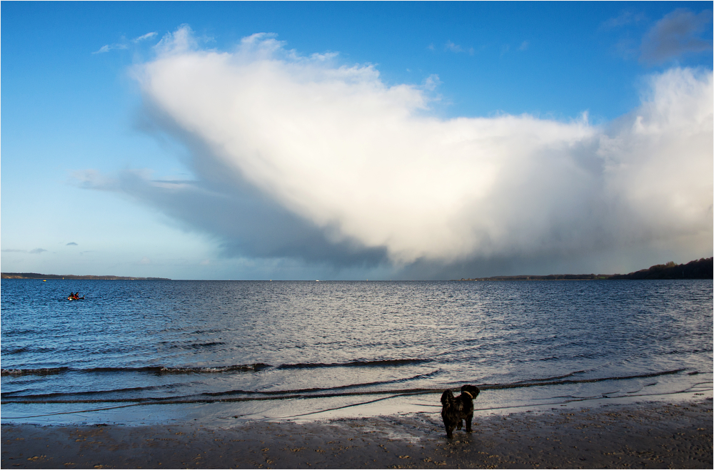 Der Wolkenwal