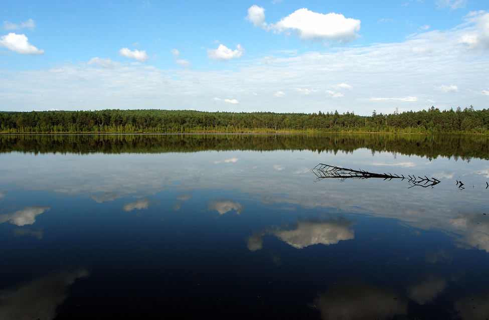 Der Wolkenweiher