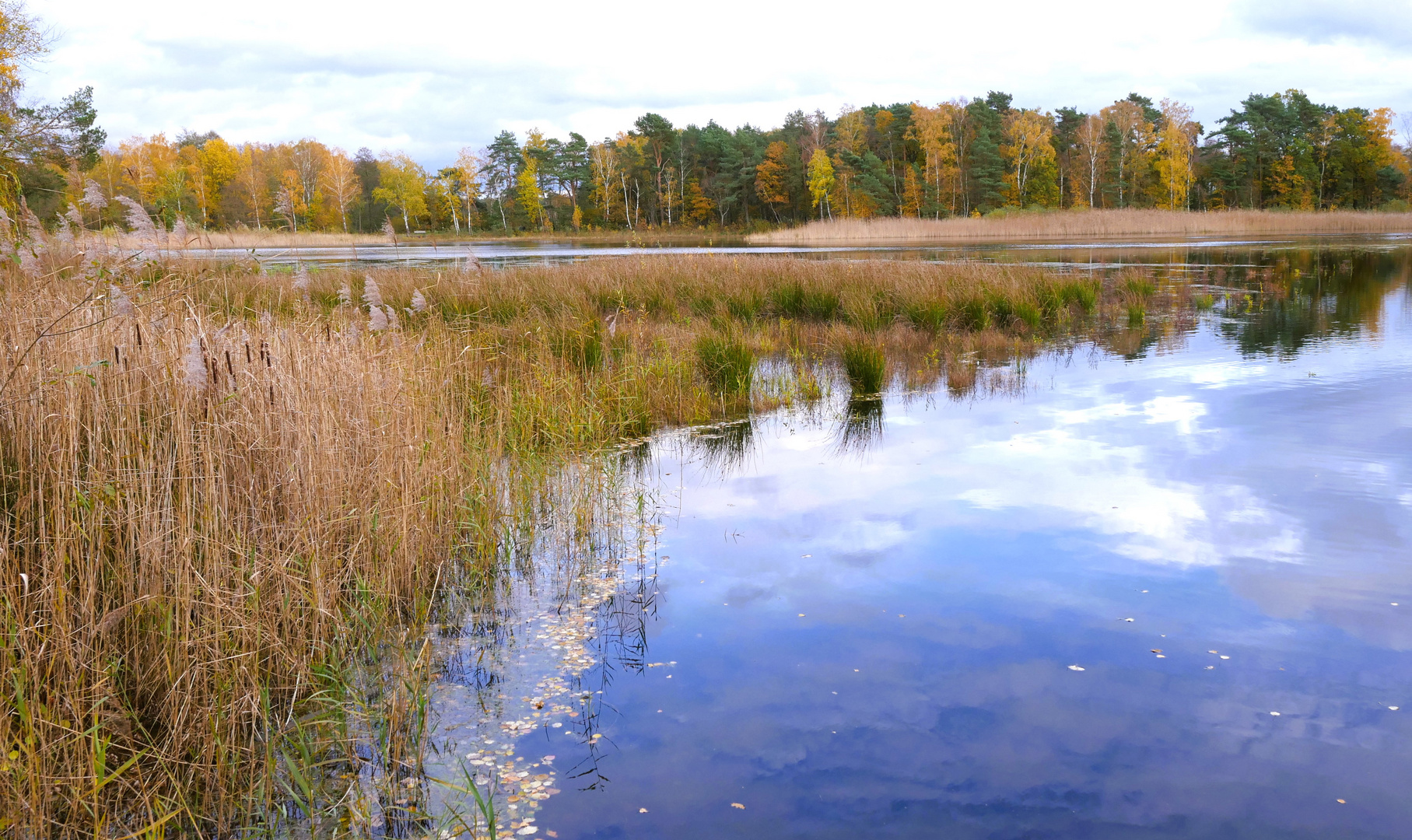 Der Würmsee