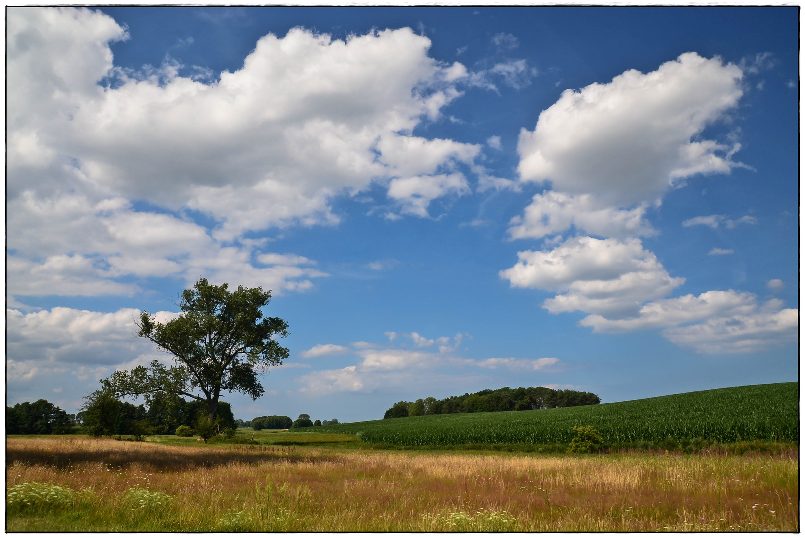 Der würzige Duft des Sommers liegt in der Luft