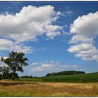 Der würzige Duft des Sommers liegt in der Luft