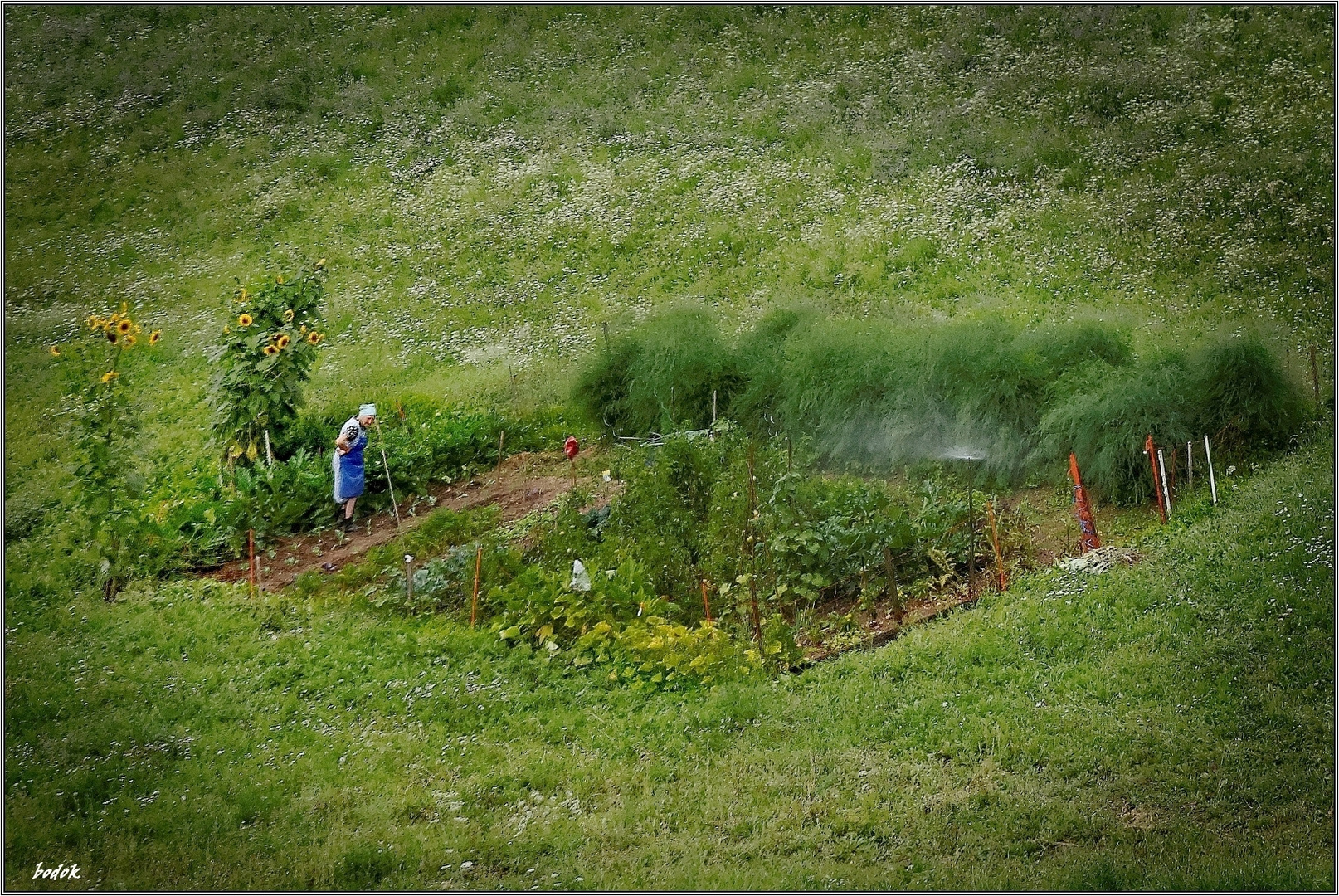 der wunderbare Garten der Mathilde S. Foto & Bild