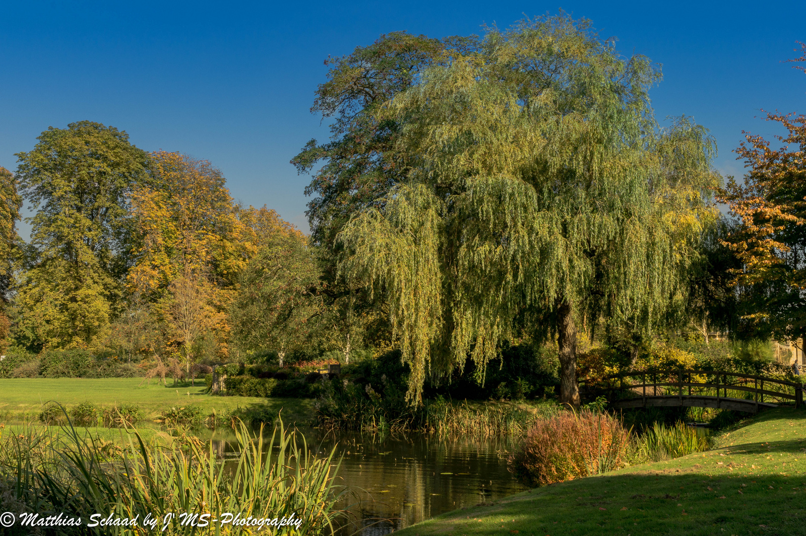 Der wunderbare Park beim Schloss Hever (Edenbridge, Kent, UK)