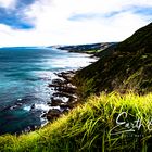 Der wunderschöne Ausblick von der Great Ocean Road