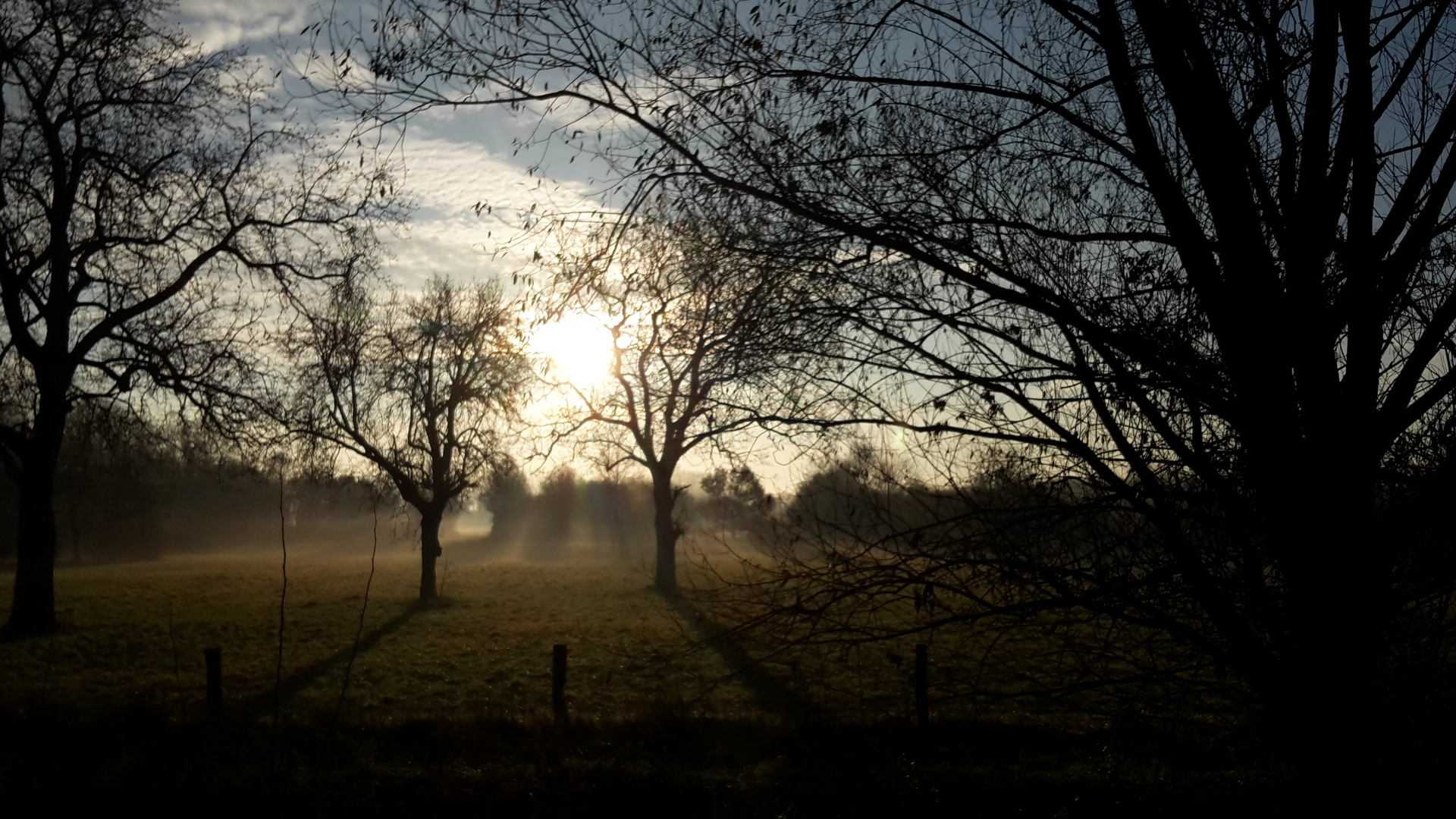 Der wunderschöne Morgen