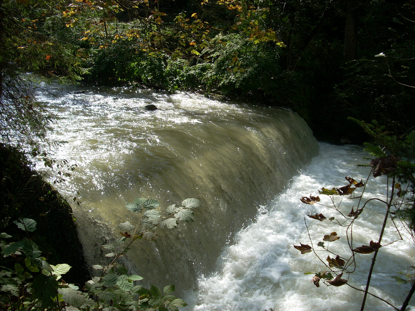 Der wunderschöne wasserfall