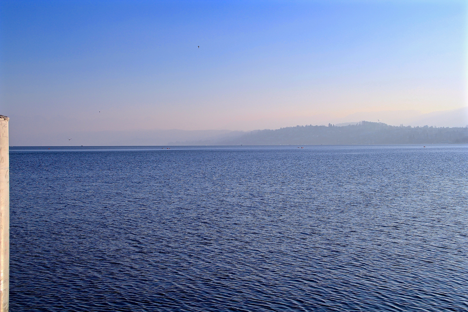 Der (wunderschöne) Zürichsee...