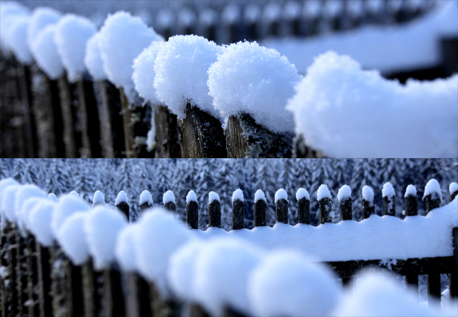 der wundervoll winterliche Gartenzaun