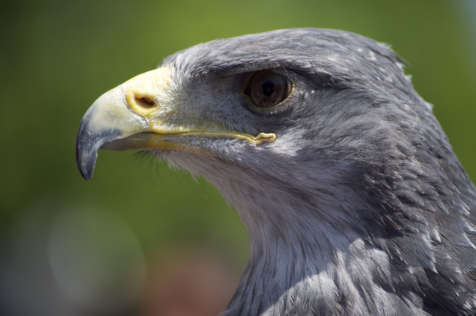 der wundervoller Blick