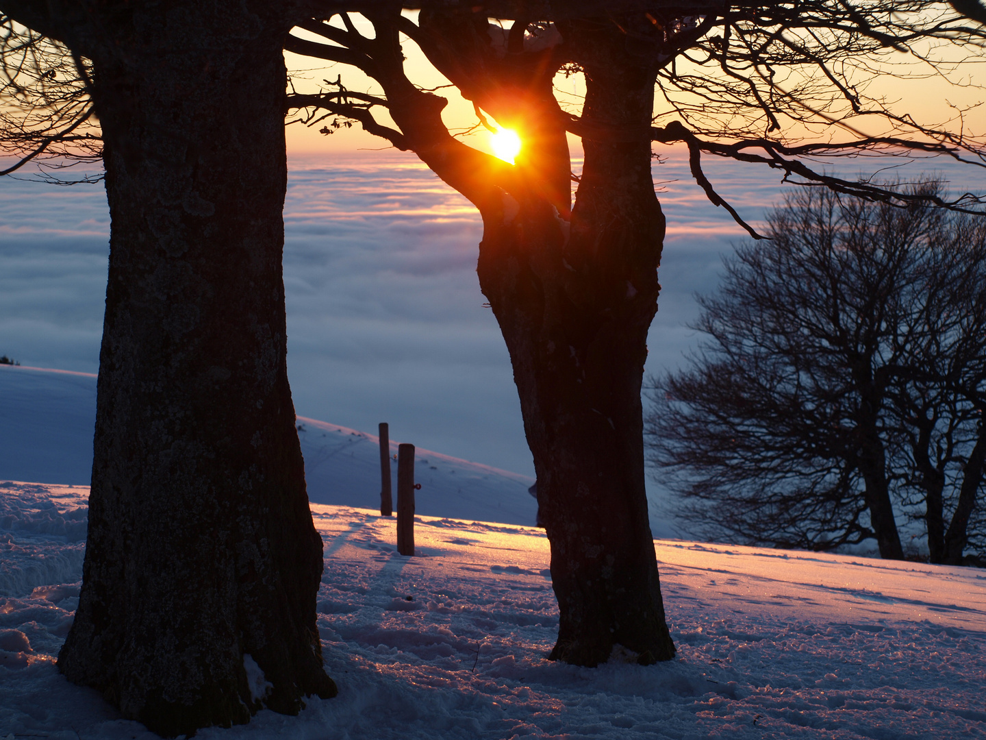 Der Wunsch, mit der Natur in Harmonie zu leben...