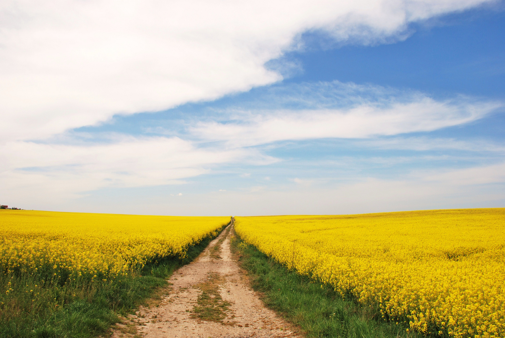 Der Wunsch nach Sommer