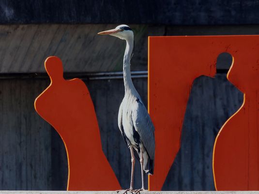 Der Wunsch nach Teilhabe am kulturellen Leben