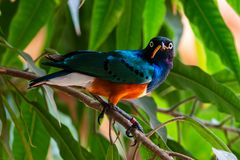 Der Wurm gehört MIR!