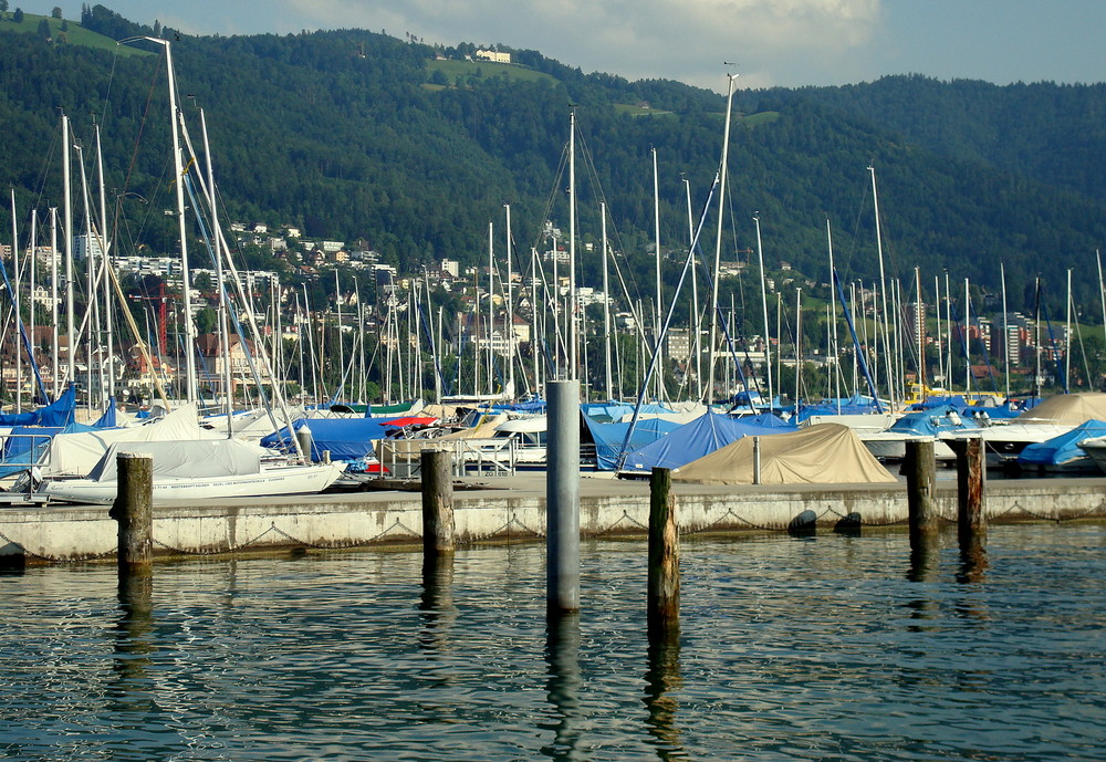 Der Yachthafen in Zug