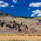 Der Yellowstone-Nationalpark hat Geburtstag!