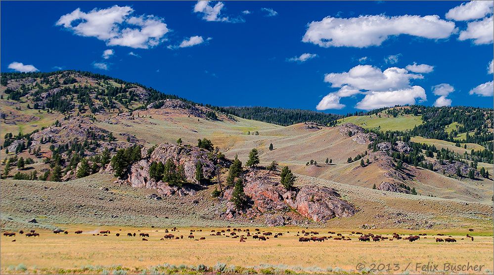 Der Yellowstone-Nationalpark hat Geburtstag!